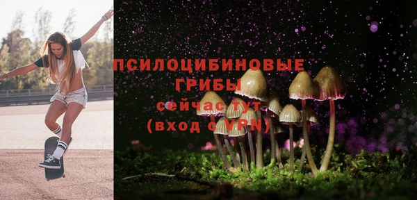 кокс Медвежьегорск