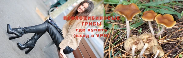эйфоретик Медногорск