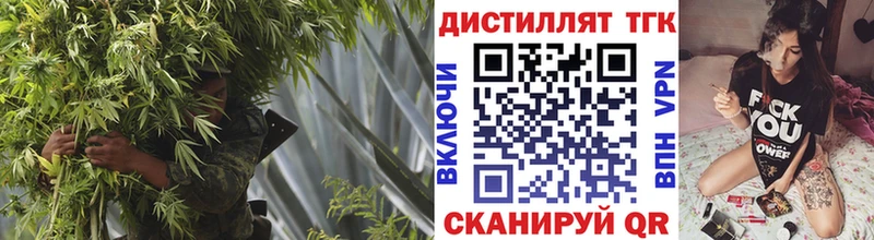 ТГК THC oil  где купить наркоту  Сусуман 