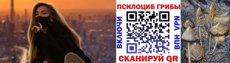 Псилоцибиновые грибы GOLDEN TEACHER  Сусуман 